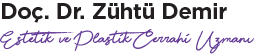 Estenik Logo